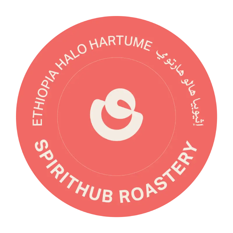 UFO Drip Coffee – Ethiopia Halo Hartume by SpiritHub Roastery with strawberry, jasmine, and tropical fruit notes from the Gedeb highlands.