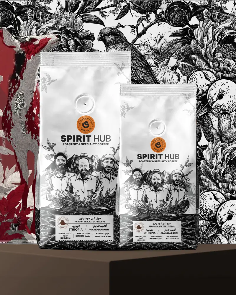 Ethiopia Agamesa Natural G1 filter coffee by SpiritHub Roastery with vibrant fruity and floral notes.