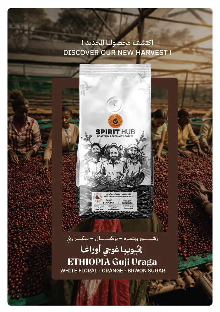 Ethiopia Guji Uraga Supernatural specialty coffee by SpiritHub Roastery with white floral, orange and brown sugar notes